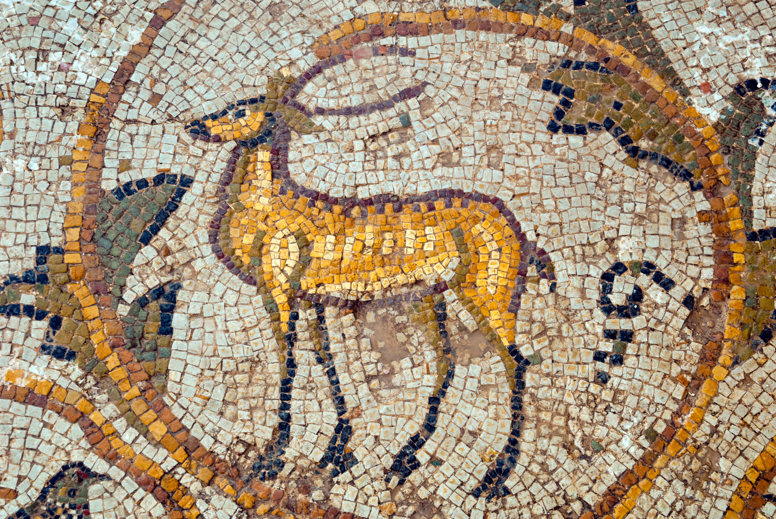 Bulla Regia Tunisia Mosaics