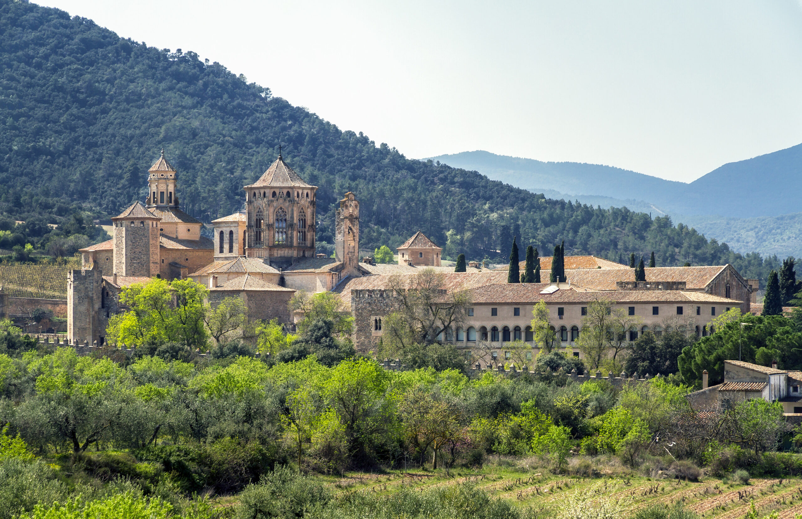 Monastery of Santa Maria de Poblet, Catalonia, Spain overviewMonastery of Santa Maria de Poblet, Catalonia, Spain overview